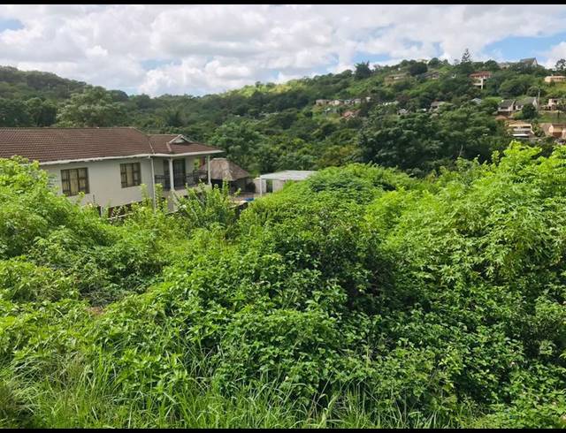 LAND FOR SALE IN NAGINA